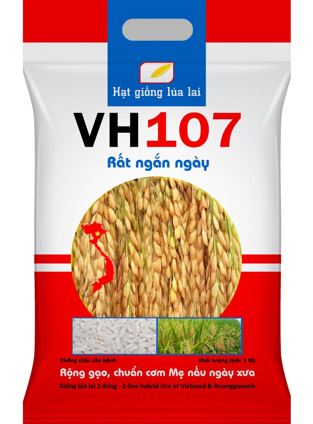 VH107-Hạt giống lúa lai 