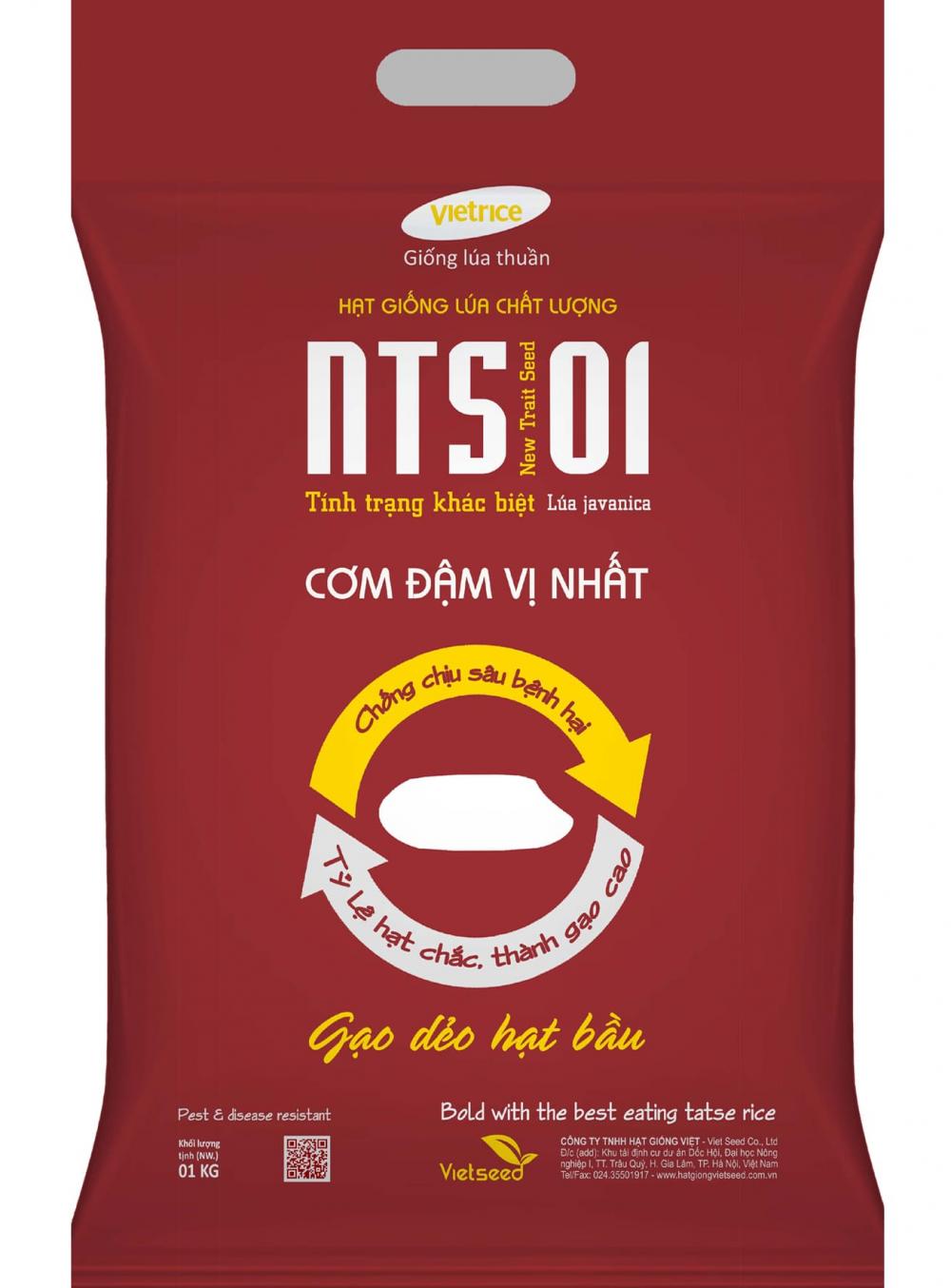 NTS01-Hạt giống lúa chất lượng