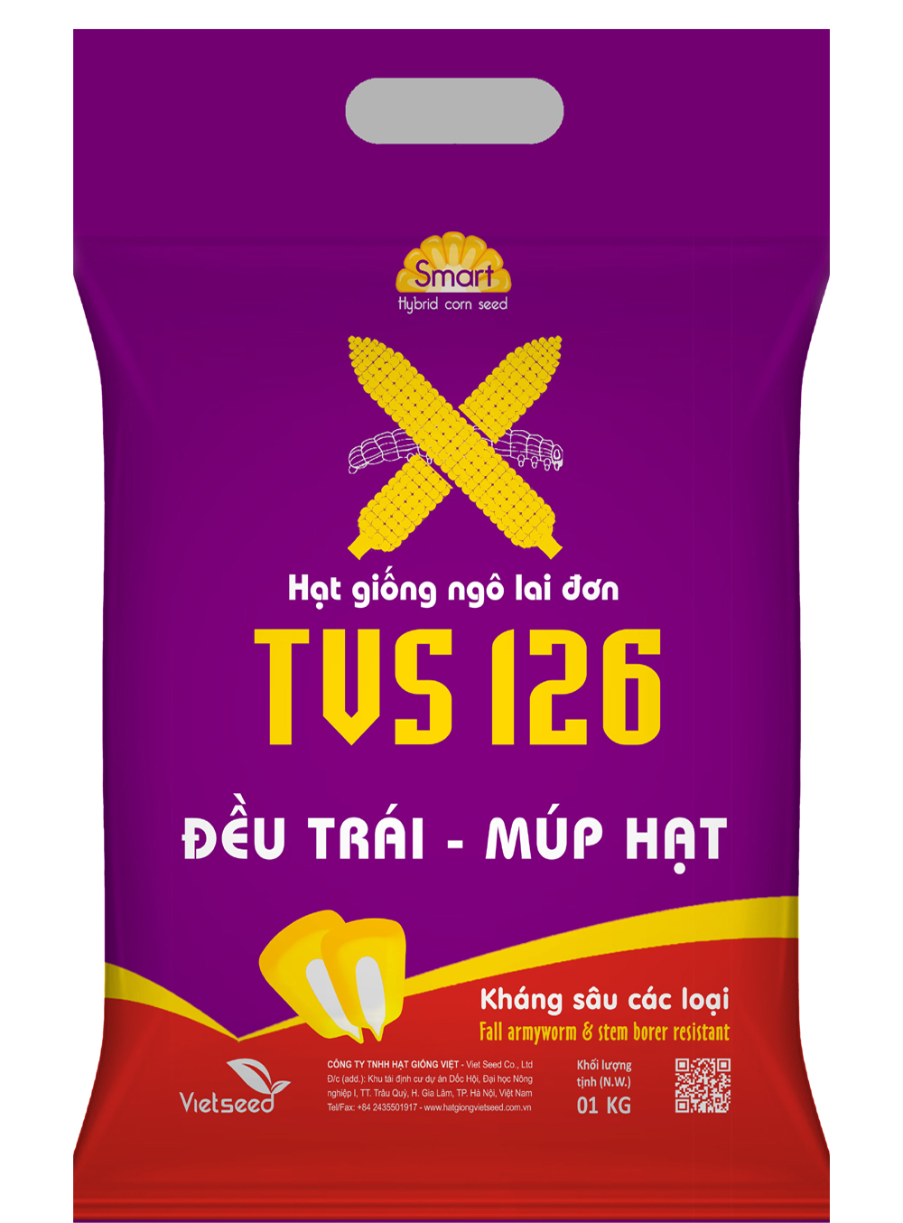 TVS126-Hạt giống ngô lai