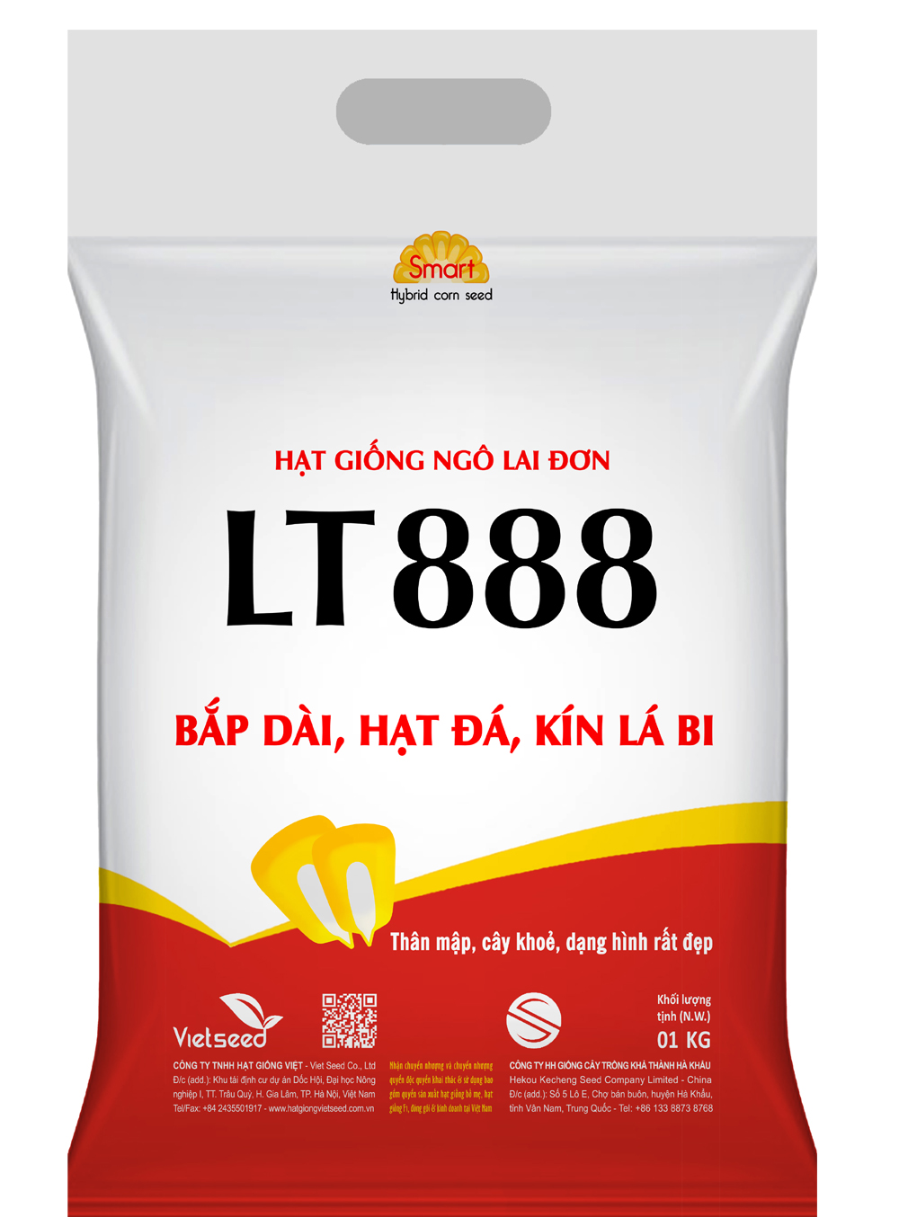 LT888-Hạt giống ngô lai