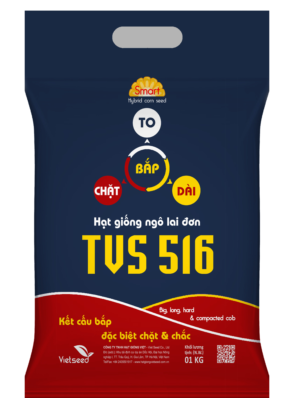 TVS516-Hạt giống ngô lai