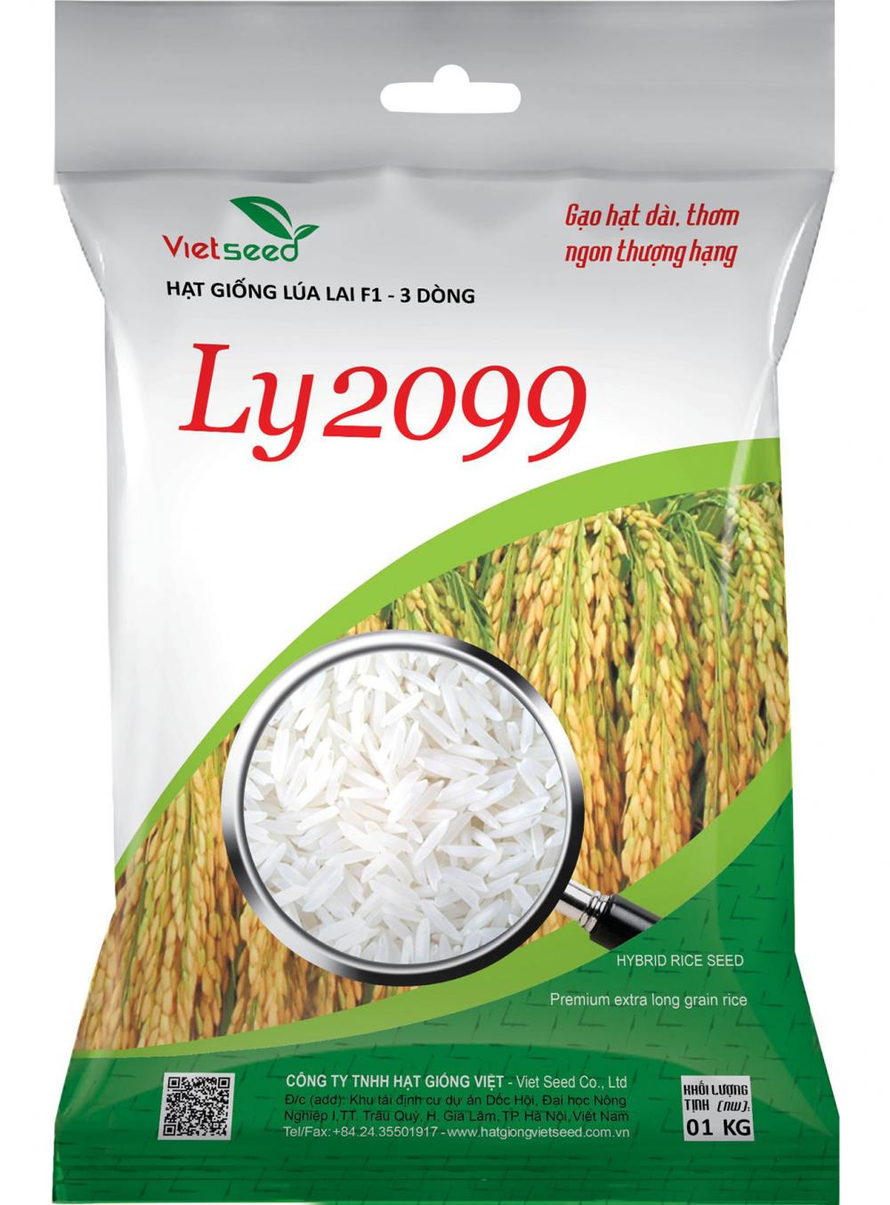 LY2099-Hạt giống lúa lai 