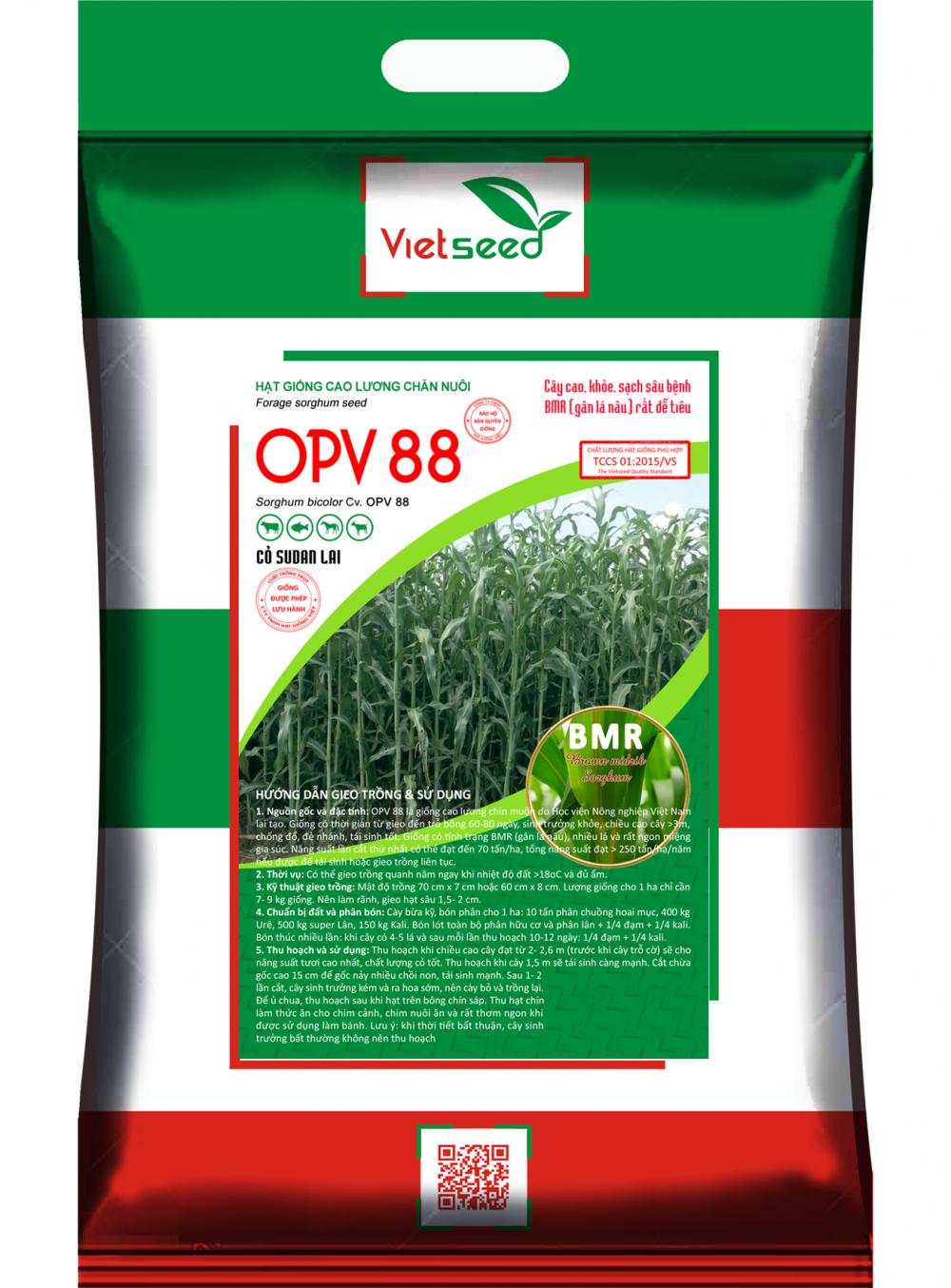OPV88-Hạt giống Cao lương chăn nuôi BMR 