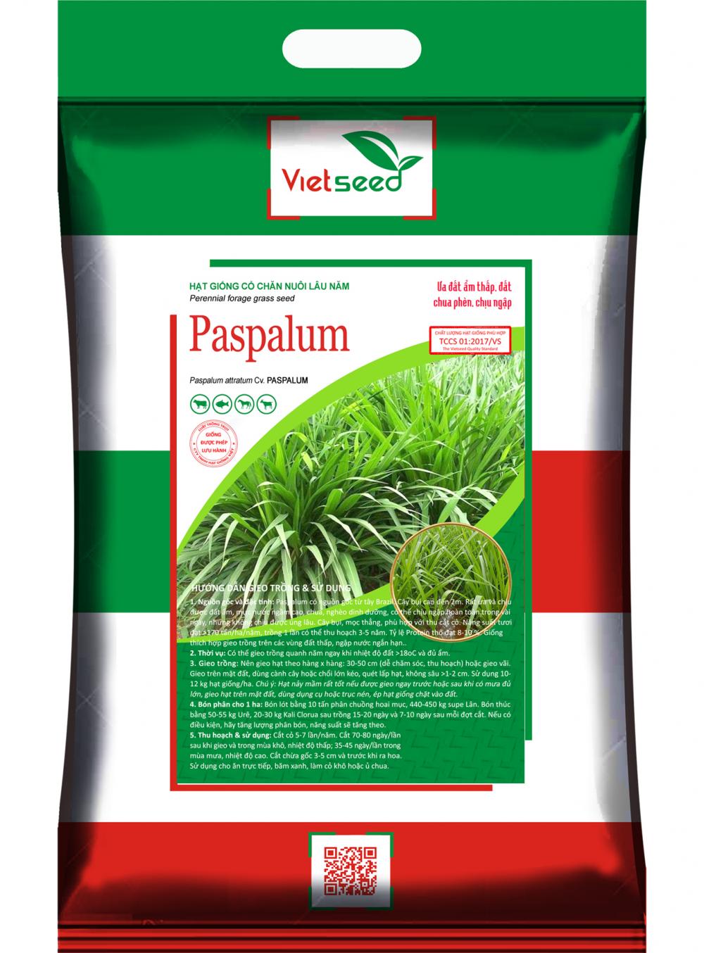 PASPALUM-Hạt giống cỏ chăn nuôi lâu năm 